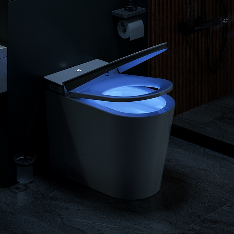 陶磁器の床の一つの理性的でスマートな便器電気自動同じ高さのWCのビデ