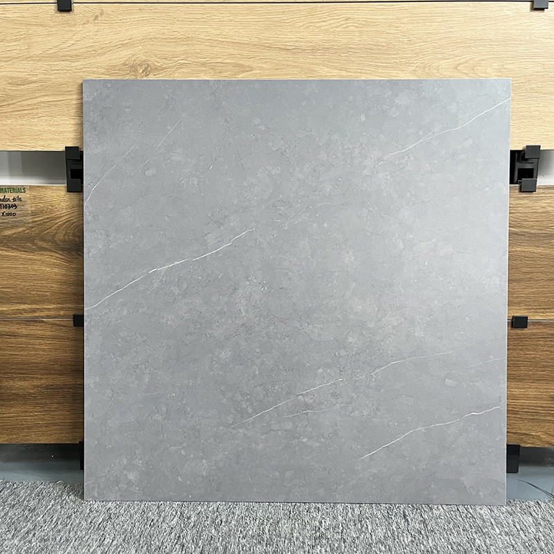 床60x60のための新式の居間のタイルは、非無光沢の磁器の無作法な床タイルを入れる