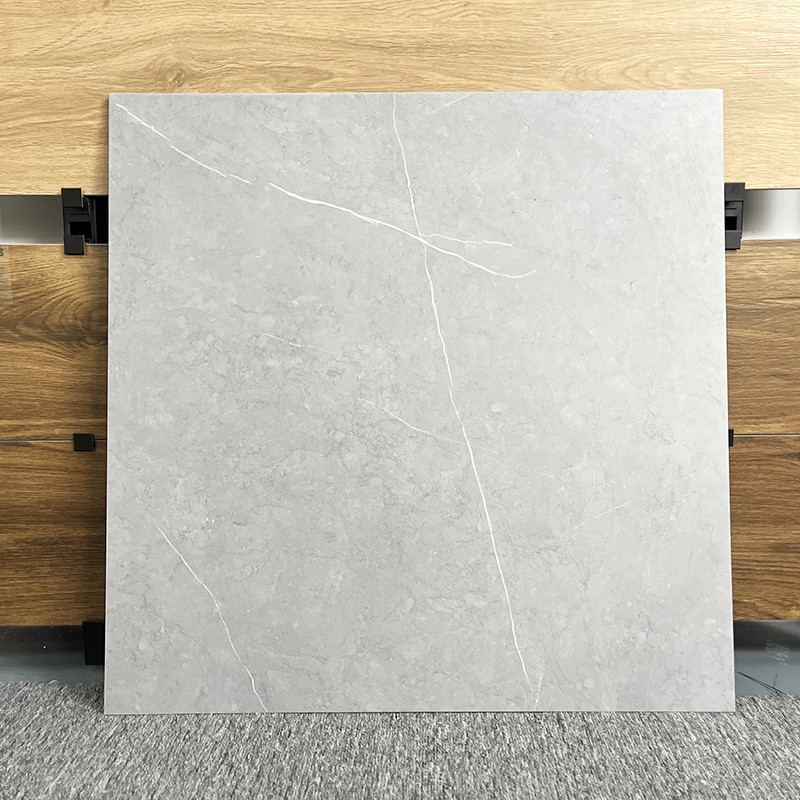 床60x60のための新式の居間のタイルは、非無光沢の磁器の無作法な床タイルを入れる
