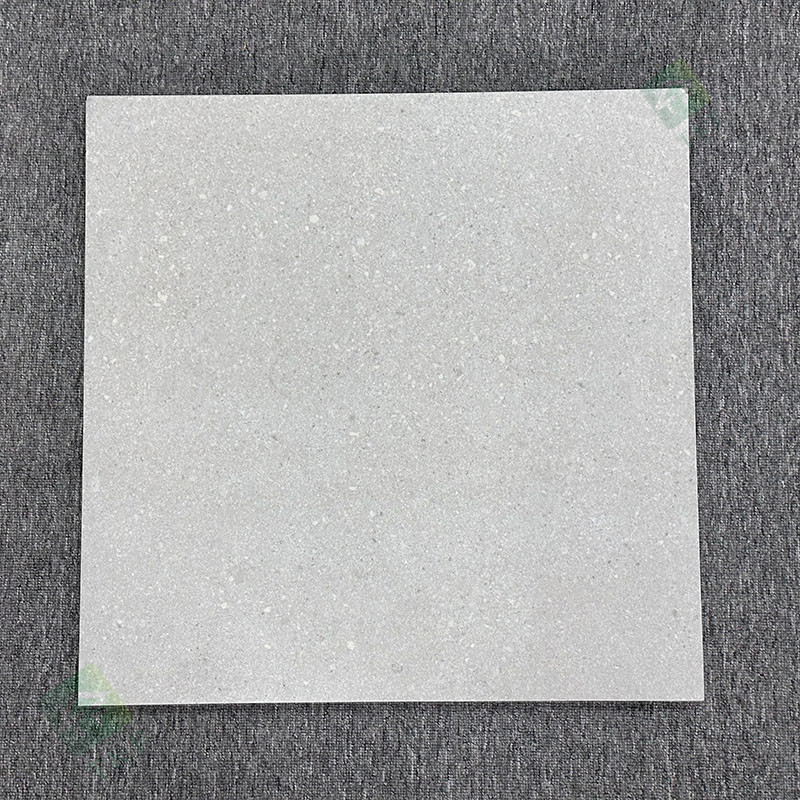 600*600mmは非荒いマットを終えた外部の庭のペーバーをタイルを張る磁器の床を入れる